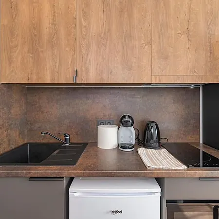 Minimalist Studio By Hostlovers Kaunas